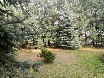 Фото номера Шале Загородные дома Siedlisko Bolek г. Nadrybie 94