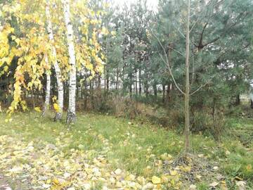 Фото номера Шале Загородные дома Siedlisko Bolek г. Nadrybie 96